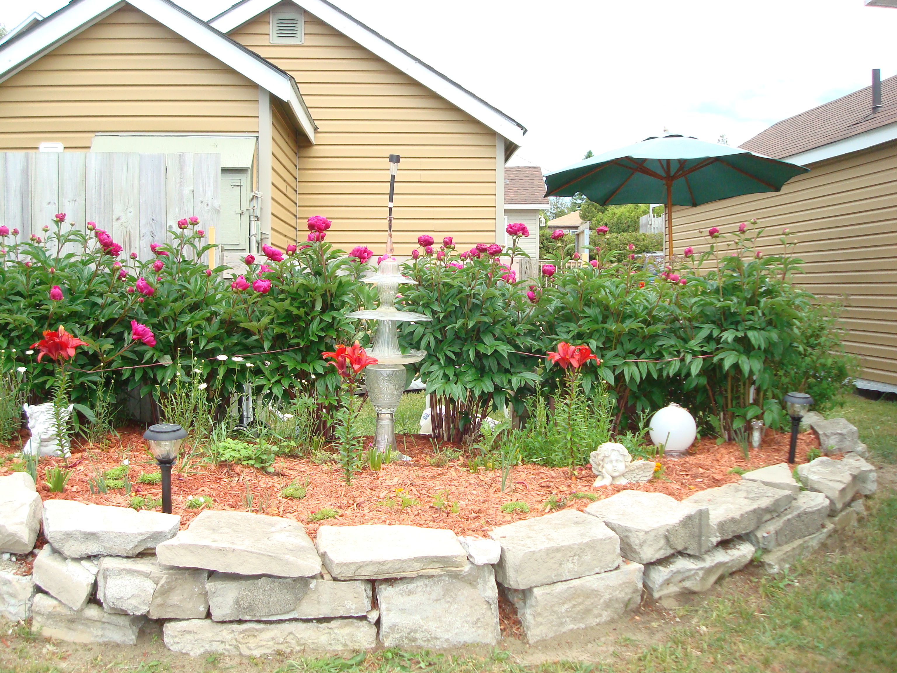 Click Image To Enlarge